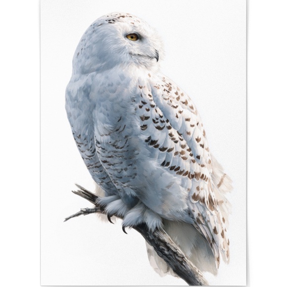 Watercolor Snowy Owl Portrait Wall Art Print, Unframed - Mystic Winter Grace - Picture 2 of 6